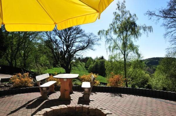 Wohnung In Hohegeiss Mit Grill Und Garten Braunlage Eksteriør bilde